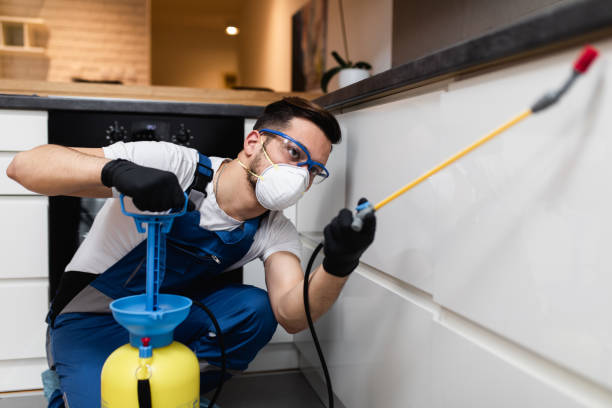Best Exterminator Services  in Battlement Mesa, CO