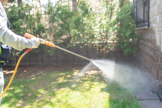 Best Flea Control Services  in Battlement Mesa, CO